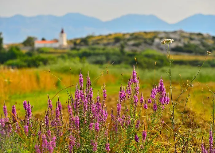 شقة Charlie فرسي